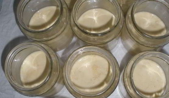 ряженка домашняя варенец