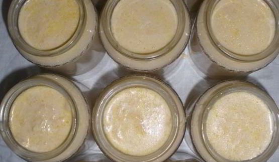 ряженка домашняя варенец