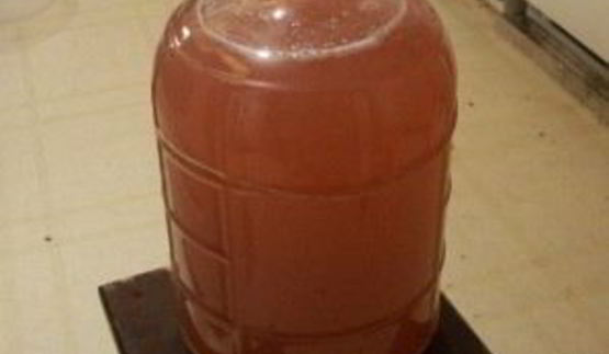 вино из сливы