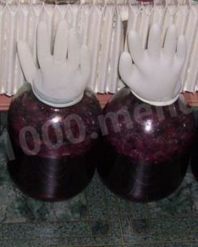 Вино из винограда северных сортов