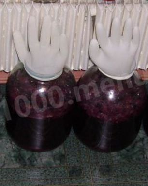 Вино из винограда северных сортов