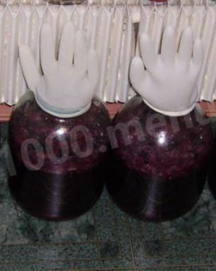 Рецепт вина из винограда северных сортов