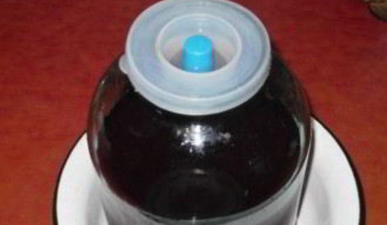 вино из ягод