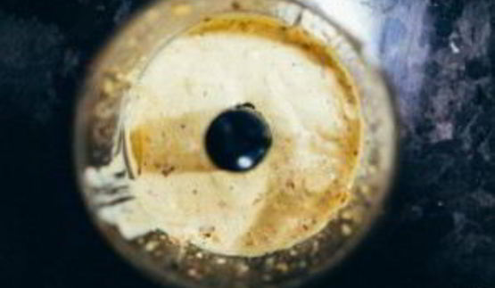 салат из брокколи и стручковой фасоли