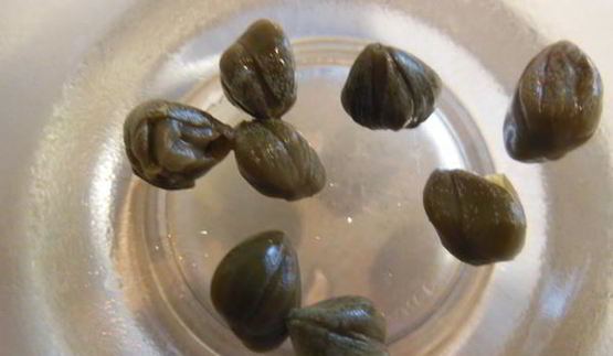 салат хрустящий