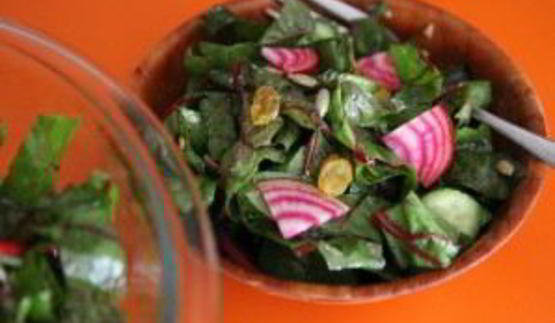 салат мангольд