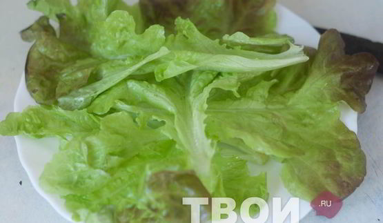 салат пражский