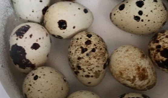 салат весна пришла