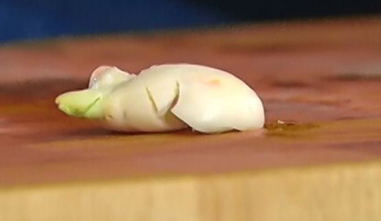 хлебно-чесночный соус