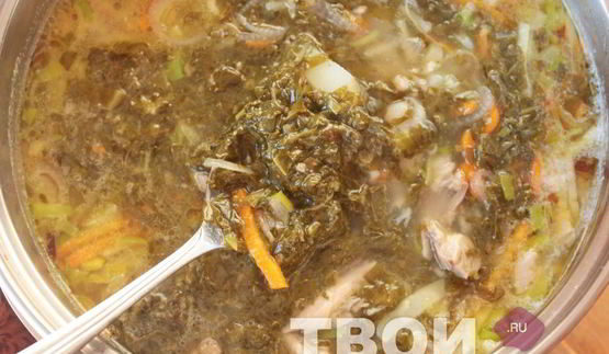 борщ со щавелем