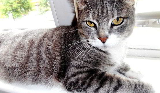 норвежский борщ с килькой