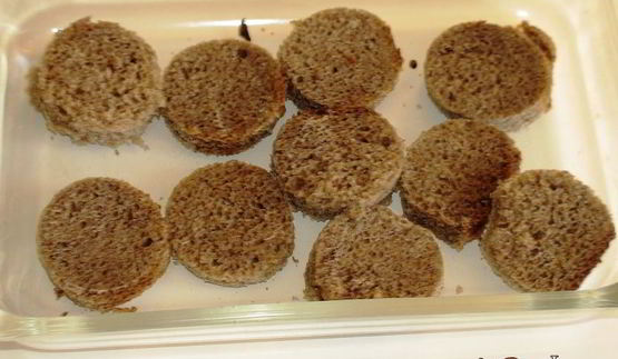 пдбиваний борщ с чесночными крутонами