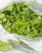 Заморозка для зеленого борща на зиму