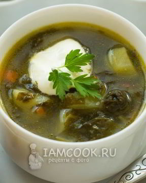 Зеленый борщ без мяса