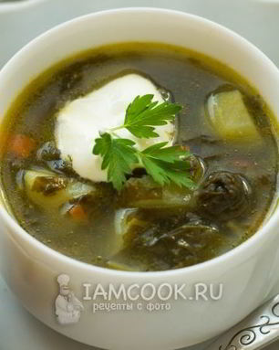 Зеленый борщ без мяса