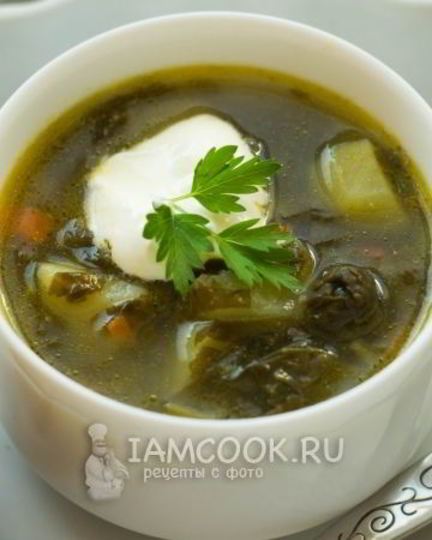 Рецепт зеленого борща без мяса