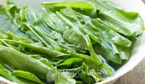 зеленый борщ без мяса