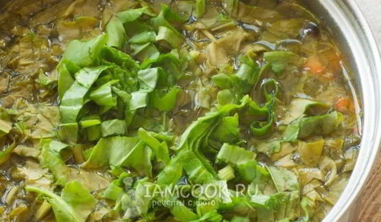 зеленый борщ без мяса