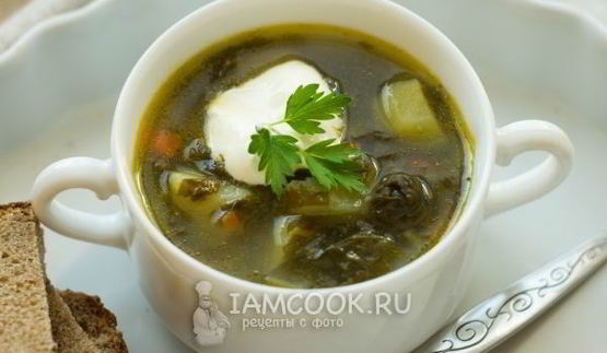 зеленый борщ без мяса