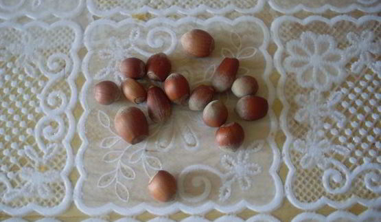 крем-суп из тыквы с лесным орехом