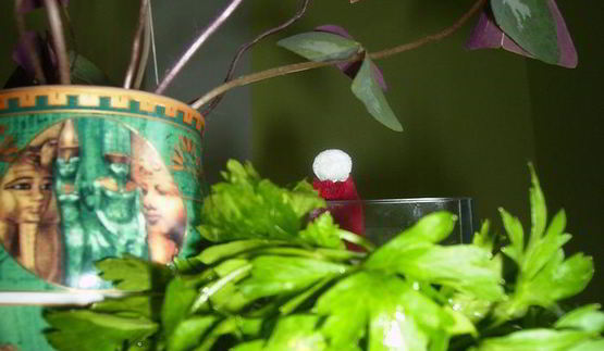 рыбный суп с семгой и сливками