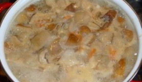 суп из белых грибов с сыром