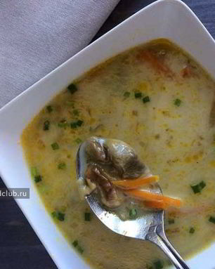 Суп из белых грибов