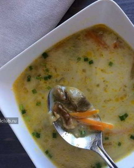 Рецепт супа из белых грибов