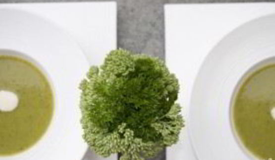 суп-пюре из брокколи