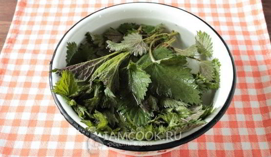 суп-пюре из черешкового сельдерея с крапивой