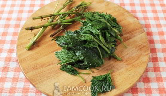 суп-пюре из черешкового сельдерея с крапивой