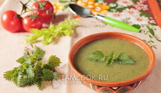 суп-пюре из черешкового сельдерея с крапивой