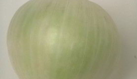 уха из карпа