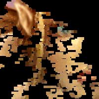 Алена Холявко