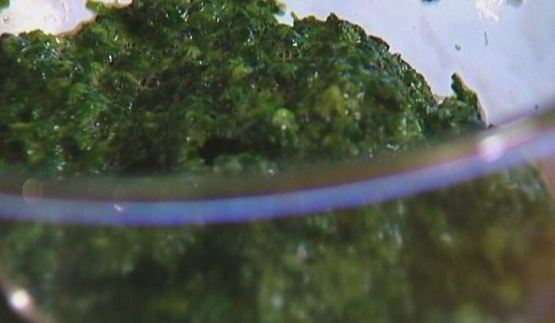 блинчики из шпината с голубым сыром