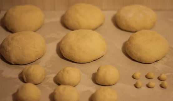 булочки забавные собачки