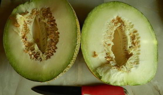 имбирный чизкейк с дыней