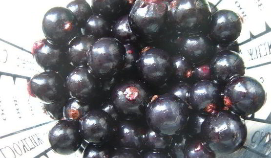 смородиновый чизкейк на хрустящей основе