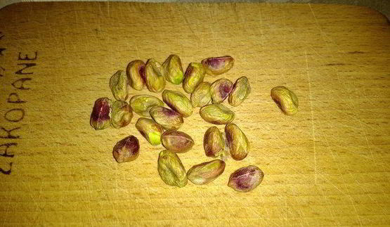 тыквенный кекс