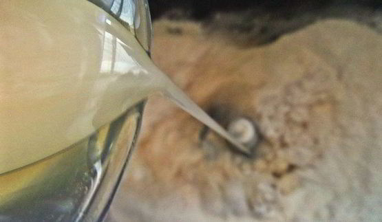 хлеб ореховый на гречневой муке