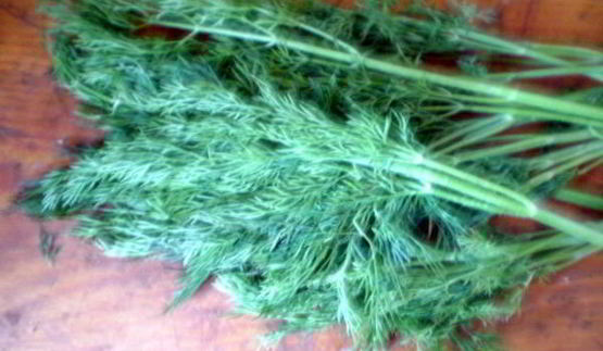 хлеб с чесноком и укропом