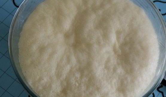 мартышкин хлеб