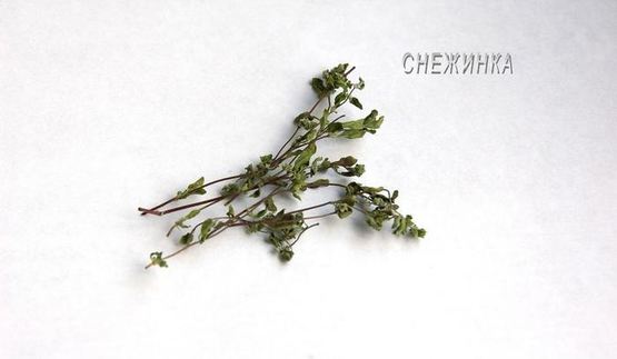 праздничный итальянский хлеб