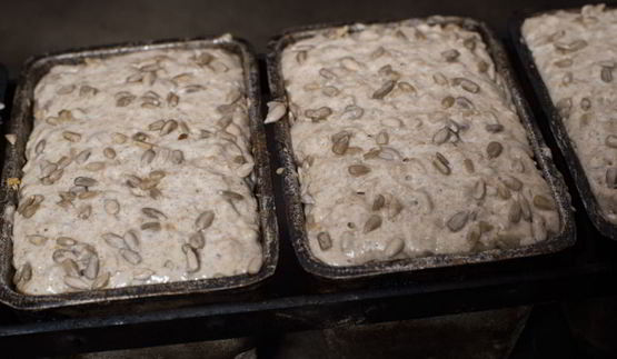 ржаной хлеб аляска