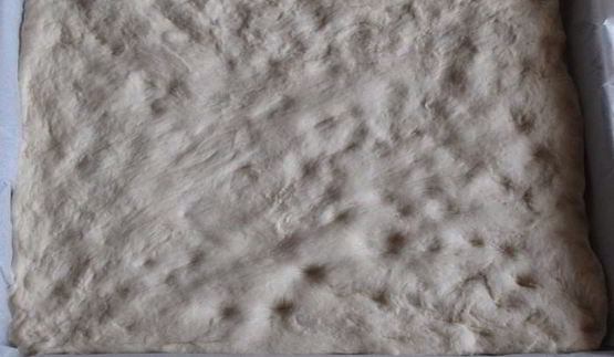 фокачча писсаладьер