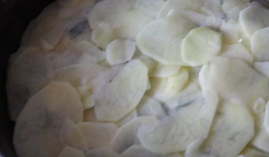 картофельная лепешка