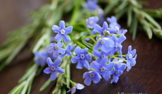 картофельная лепешка