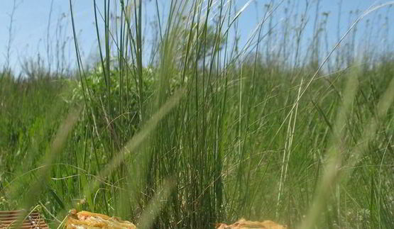 картофельные маффины