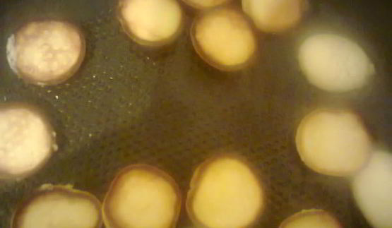 мини оладушки