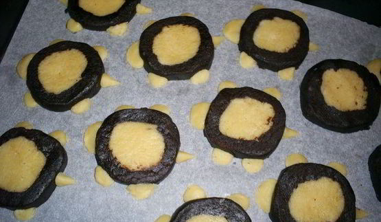 хрустящее рассыпчатое песочное печенье черепашки